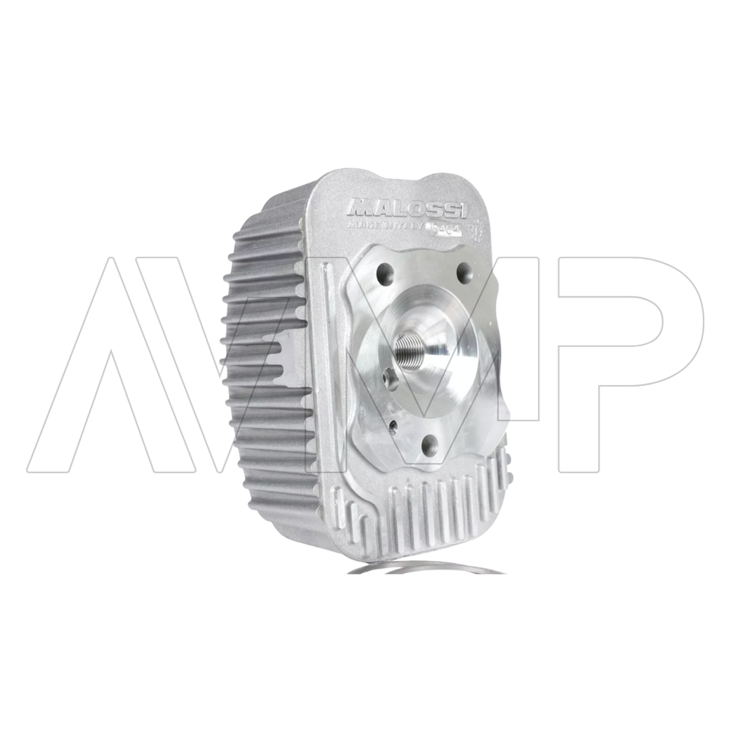 Gruppo Termico Ø 43 CVF in ghisa - Malossi (Spinotto Ø 10) - cod. 3118732