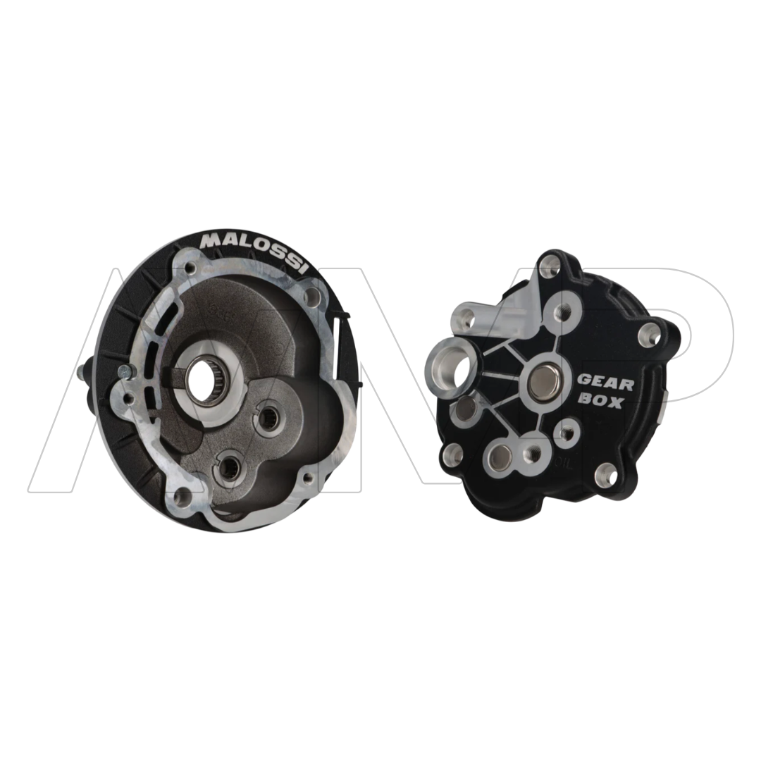Gear box mozzo posteriore | Piaggio Ciao, Si, Bravo - Gilera Eco, Cba
