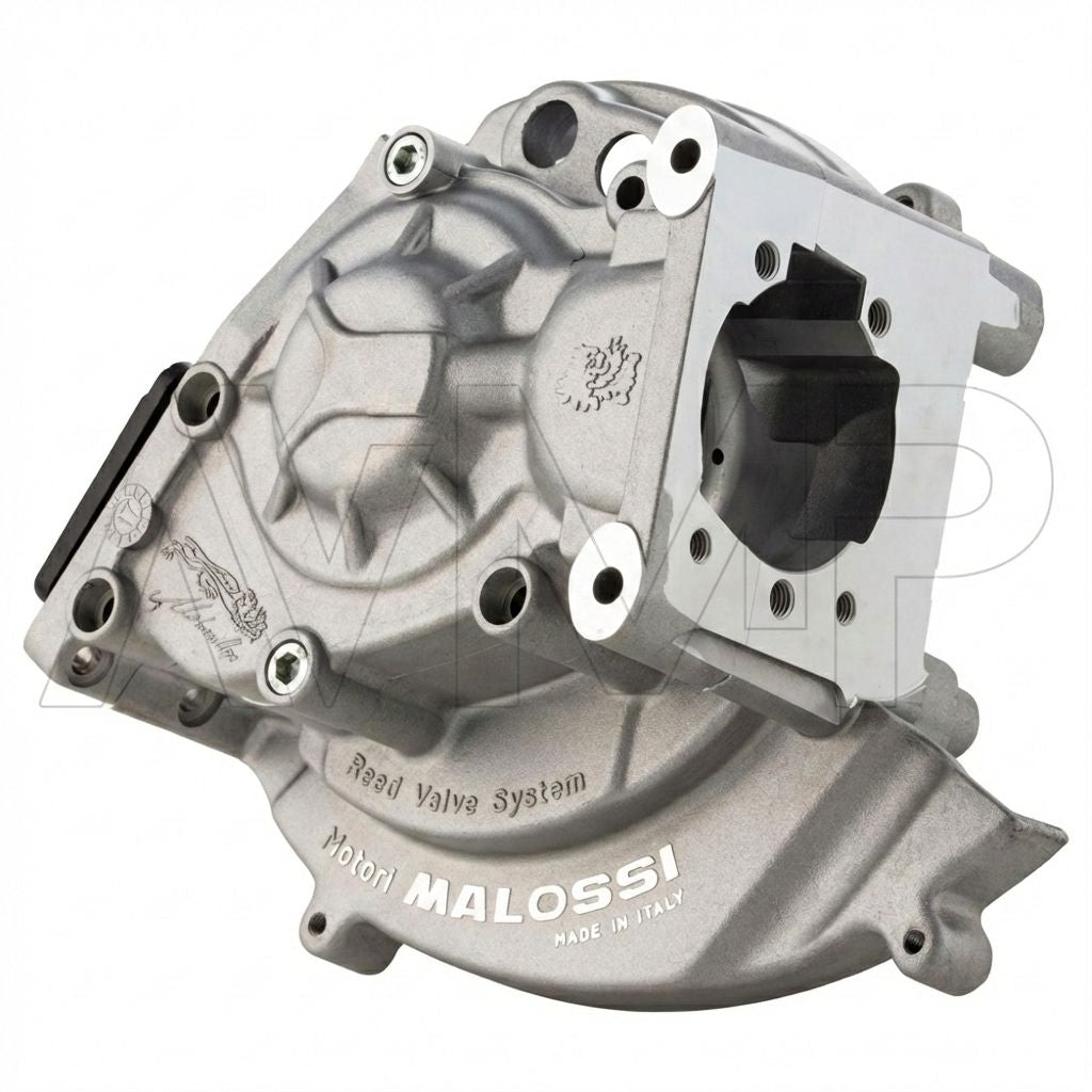 Carter Malossi Mp One accensione elettronica - cod. 5717514